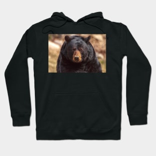 Black Bear Hoodie